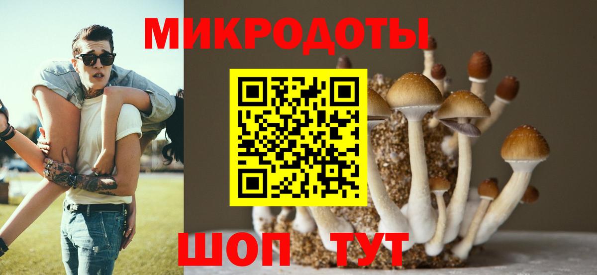 Шарыпово  Псилоцибиновые грибы мухоморы  Вход с VPN 